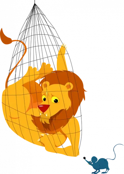 Lion trapped in a net.