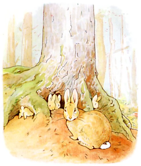 Peter Rabit and siblings near their home.